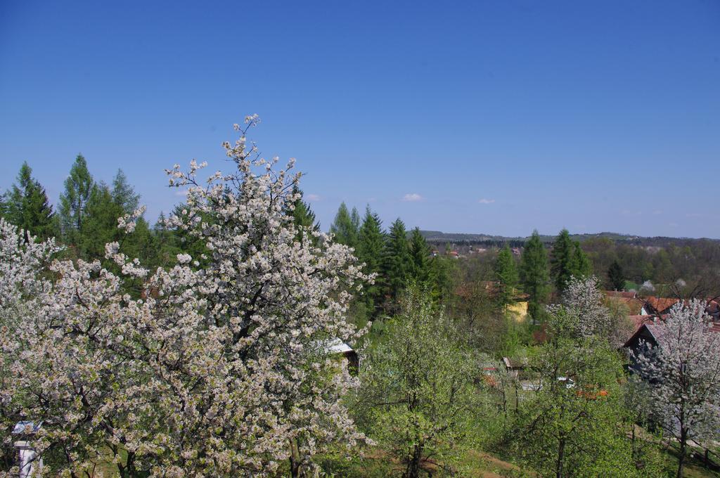 Apartment Tomy Slunj Esterno foto